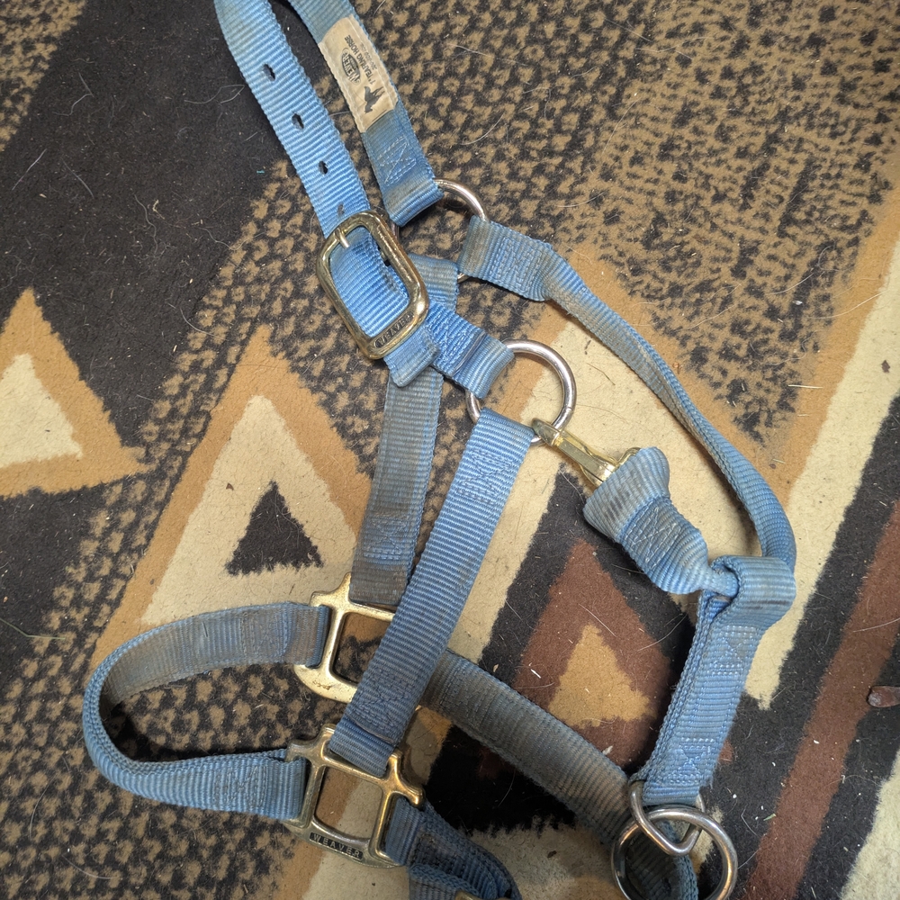 Blue Pet Harness